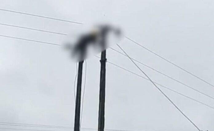 Ranchi : 11 हजार वोल्ट बना काल! ड्यूटी के दौरान लाइनमैन की मौत, ग्रामीणों का फूटा गुस्सा...