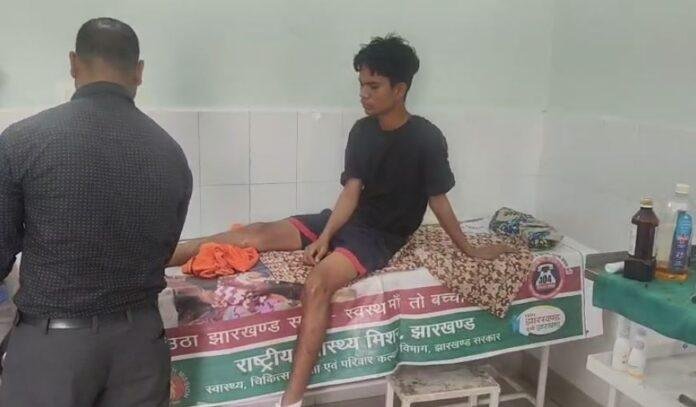 Gumla : जंगली भालुओं का खौफनाक हमला! किशोर को नोच डाला, गंभीर...