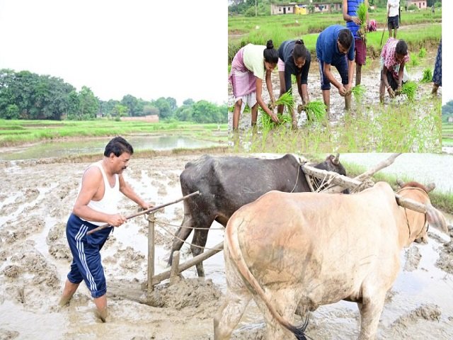 बंधु तिर्की