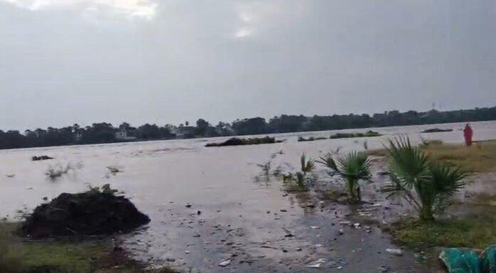 मुहाने