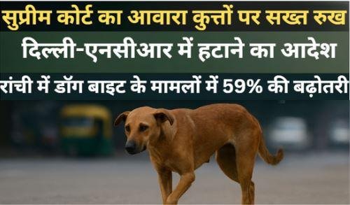 सुप्रीम कोर्ट का आवारा कुत्तों पर सख्त रुख, दिल्ली-एनसीआर में हटाने का आदेश; रांची में डॉग बाइट के मामलों में 59% की बढ़ोतरी