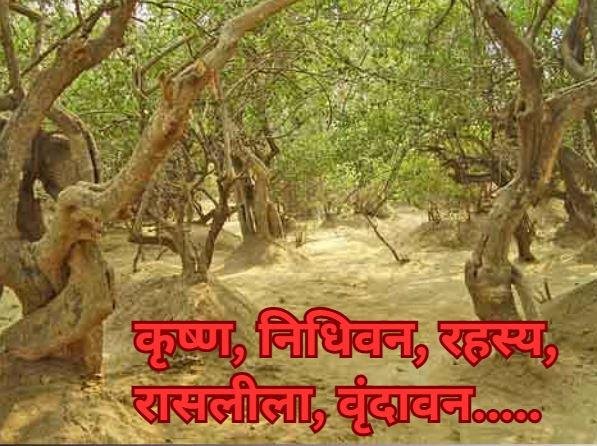 कृष्ण जन्माष्टमी विशेष