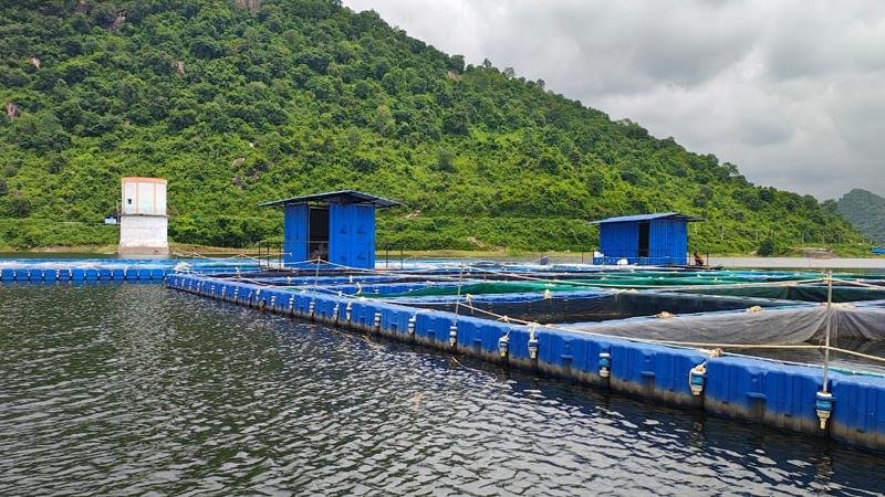 DM Nawada 2 22Scope News