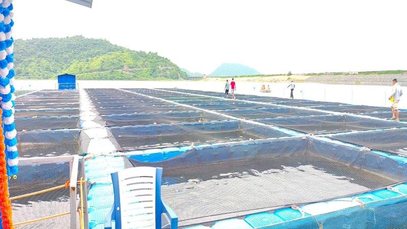 DM Nawada 3 22Scope News