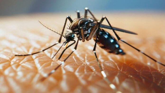 पटना में डेंगू के मरीजों की संख्या में बढ़ोत्तरी, स्वास्थ्य विभाग ने सरकारी अस्पतालों को किया हाई अलर्ट