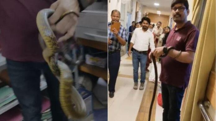 Ranchi : प्रोजेक्ट बिल्डिंग में जहरीला सांप मिलने से मची अफरा-तफरी...