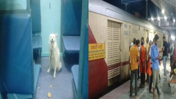 ट्रेन में सवार कुत्ता के कारण रक्सौल स्टेशन पर 35 मिनट रूकी रही ट्रेन