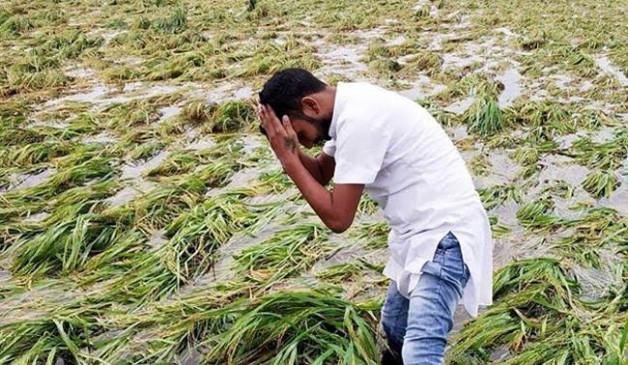 खरीफ