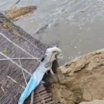 तटबंध