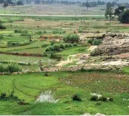 5 Jharkhand Land Records: झारभूमि का डेटा State Data Centre में ट्रांसफर, 25 Sept तक Registry-Mutation बंद