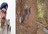 पुलिस व CRPF ने संयुक्त कार्रवाई में प्रेशर कमांड IED किया बरामद