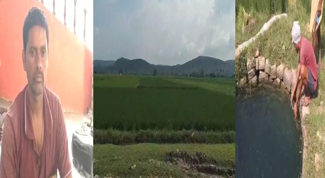 देश के प्रसिद्ध मोकरी के गोबिंद भोग चावल उपजाने वाले किसान यूरिया खाद के लिए हैं परेशान