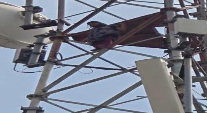 मोबाइल टावर पर चढ़ गई शादीशुदा महिला, जमकर की हंगामा, बोली- मर जाऊंगी ससुराल नहीं...