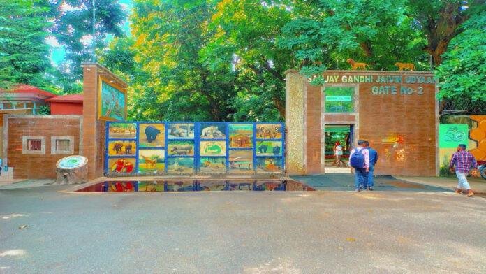 संजय गांधी जैविक उद्यान को आधुनिक और आकर्षक बनाने के लिए विभाग की पहल