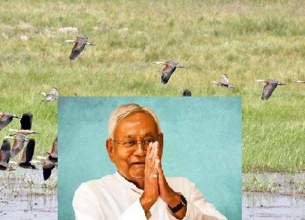 आर्द्रभूमियों