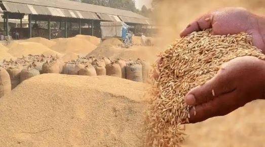 Jharkhand Paddy Procurement 2025: रांची समेत सभी जिलों में 1 दिसंबर से धान की खरीद, Farmers को मिलेंगे नए लाभ