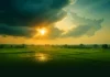 Bihar Weather Update 11 Oct 2025