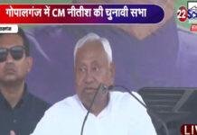 गोपालगंज में मंच से बोले CM नीतीश- इन सब लोगों की छतों पर सोलर पैनल लगवा देना, भूलना मत