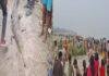 गंगा नदी से दुर्लभ प्रकार का मरा हुआ मिला मगरमच्छ, देखने के लिए लोगों की उमड़ी भीड़
