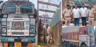 गौवंश से लदा ट्रक लावारिस हालत में हुआ बरामद, जांच में जुटी पुलिस