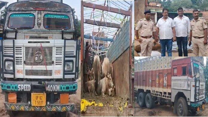 गौवंश से लदा ट्रक लावारिस हालत में हुआ बरामद, जांच में जुटी पुलिस