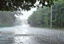 Jharkhand Weather Update: 31 अक्टूबर तक झारखंड के कई जिलों में भारी बारिश की चेतावनी, येलो अलर्ट जारी Jharkhand Weather Update: 31 अक्टूबर तक झारखंड के कई जिलों में भारी बारिश की चेतावनी