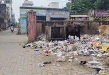 छठ से पहले चास में गंदगी का अंबार, नगर निगम पर लापरवाही के आरोप – डीसी ने दिए सख्त निर्देश छठ से पहले चास में गंदगी का अंबार, नगर निगम पर लापरवाही के आरोप – डीसी ने दिए सख्त निर्देश