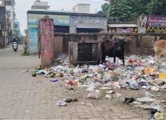 छठ से पहले चास में गंदगी का अंबार, नगर निगम पर लापरवाही के आरोप – डीसी ने दिए सख्त निर्देश छठ से पहले चास में गंदगी का अंबार, नगर निगम पर लापरवाही के आरोप – डीसी ने दिए सख्त निर्देश