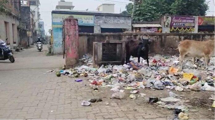 litter छठ से पहले चास में गंदगी का अंबार, नगर निगम पर लापरवाही के आरोप – डीसी ने दिए सख्त निर्देश