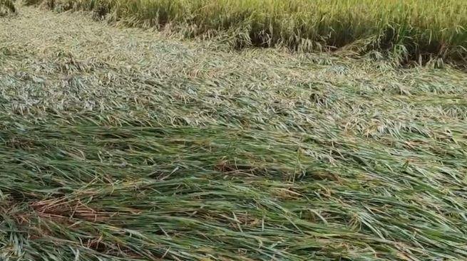 montha Montha Cyclone