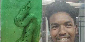 रसेल वाइपर ने युवक को डसा, तो दोस्त ने सांप को बोतल में बंदकर पहुंचा अस्पताल, डॉक्टर भी रह गए दंग