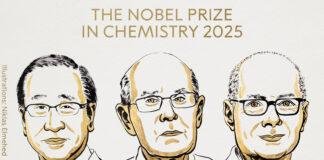 Nobel Prize 2025
