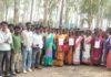 Kairo : पुल क्षतिग्रस्त होने से आवागमन बाधित, ग्रामीणों में भारी आक्रोश Kairo