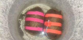 Bombs recovered : बंद मकान से चार जिंदा बम बरामद, एक युवक हिरासत में, इलाके में मचा हड़कंप Bombs recovered: बंद मकान से चार जिंदा बम बरामद, एक युवक हिरासत में, इलाके में मचा हड़कंप