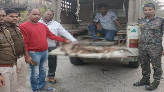 गयाजी में हिरनी का शिकार, वन विभाग और पुलिस ने किया बरामद, एक गिरफ्तार