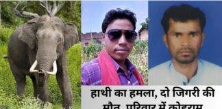 हाथियों के हमले में दो दोस्तों की मौत, वन विभाग पर लापरवाही का आरोप