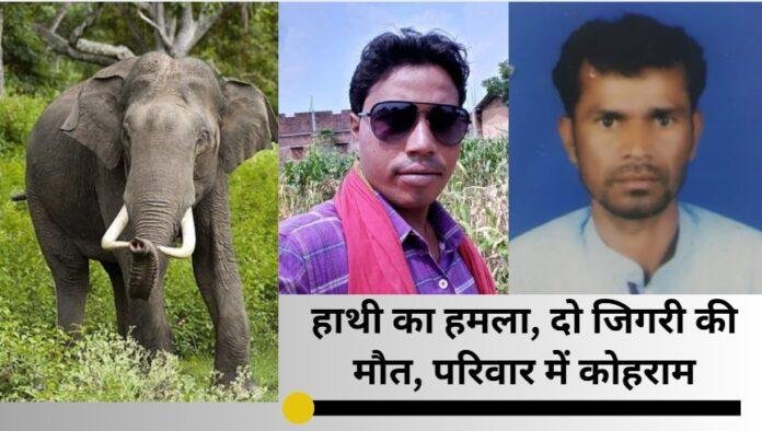 हाथियों के हमले में दो दोस्तों की मौत, वन विभाग पर लापरवाही का आरोप