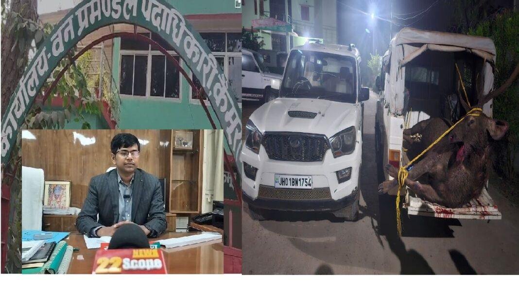 वन विभाग की छापेमारी में मृत सांबर बरामद, पाँच फरार एक तस्कर गिरफ्तार