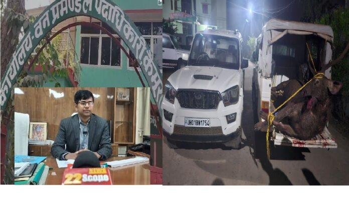 वन विभाग की छापेमारी में मृत सांबर बरामद, पाँच फरार एक तस्कर गिरफ्तार