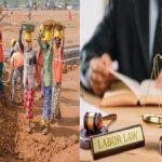 labour law 22Scope News