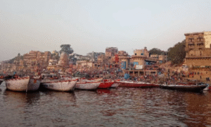 Kashi