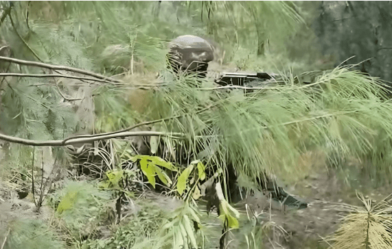 Operation Pimple Operation Pimple