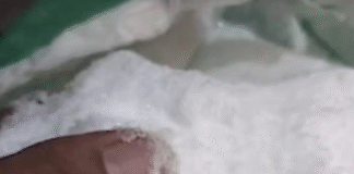 Faridabad News: डॉक्टर के घर से मिला 300 किलो RDX और AK-47 Faridabad News: डॉक्टर के घर से मिला 300 किलो RDX और AK-47