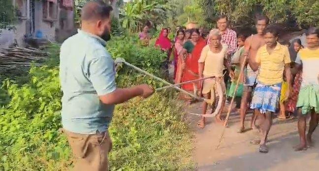 कोबरा रेस्क्यू Pakur