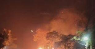 Pakur: सड़क किनारे रखे पटसन में लगी भीषण आग, मचा हड़कंप Pakur