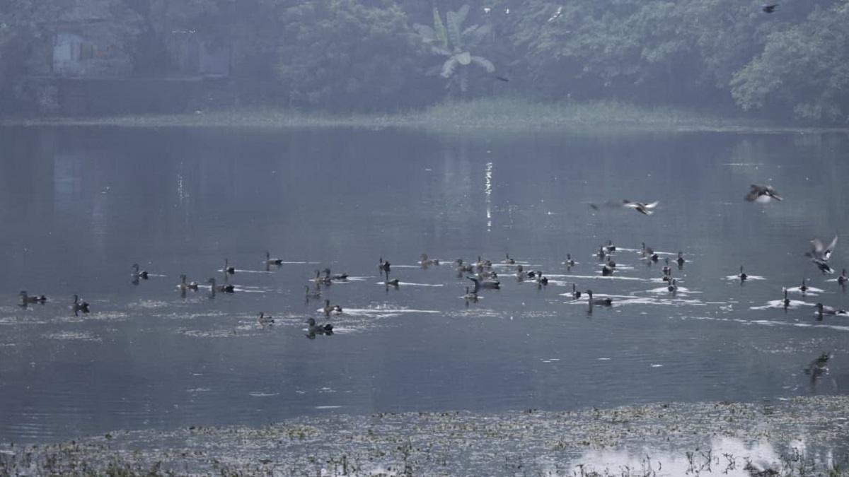मुख्यमंत्री ने मुख्य सचिवालय परिसर स्थित राजधानी जलाशय में प्रवासी पक्षियों का किया अवलोकन | 22Scope News 7735a4a6 c844 4d4c b8b3 bab592ff2cb5 22Scope News