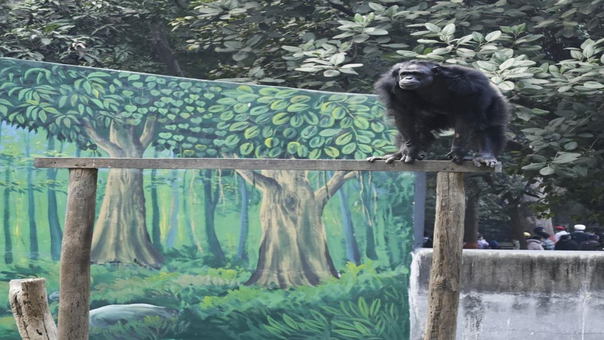 CM Sanjay Gandhi Biological Park 2 22Scope News