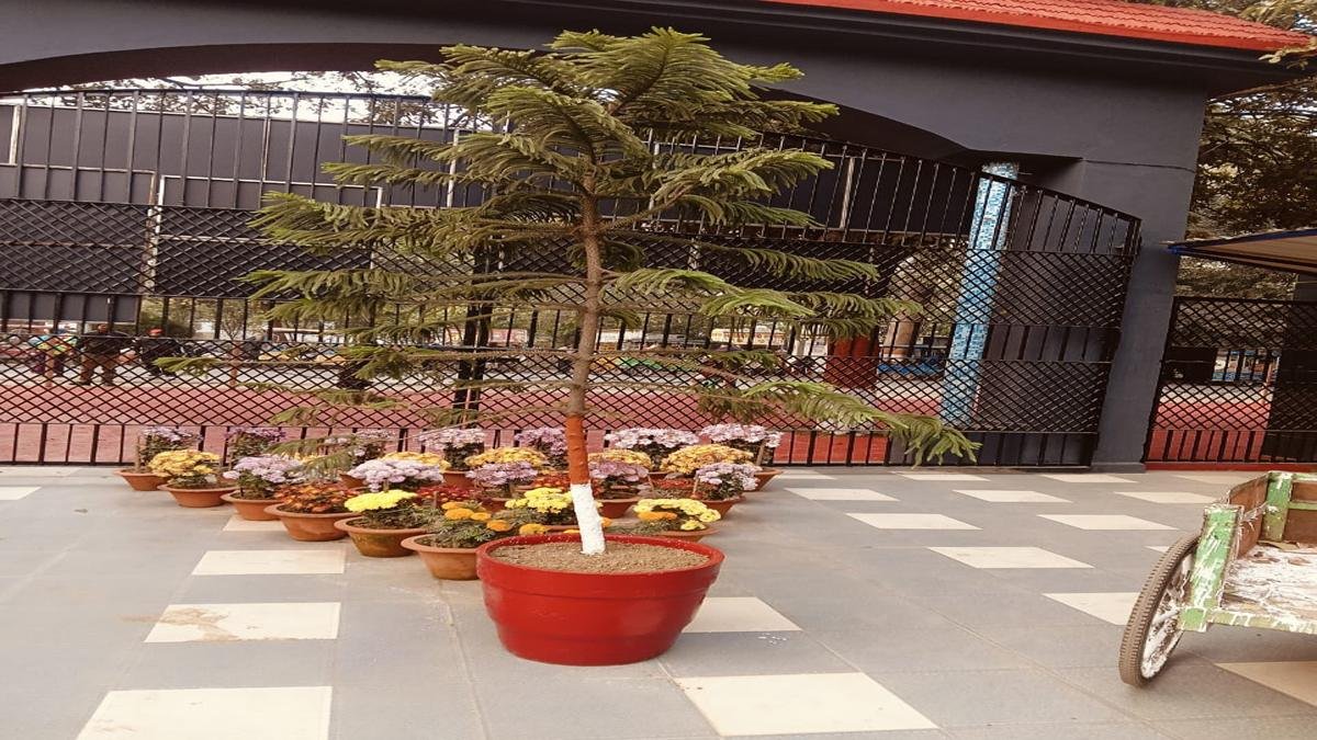 पटना में क्रिसमस और न्यू ईयर जश्न की उलटी गिनती शुरू… क्या है इस बार सबसे बड़ा आकर्षण? | 22Scope News Christmas New Year 2 22Scope News