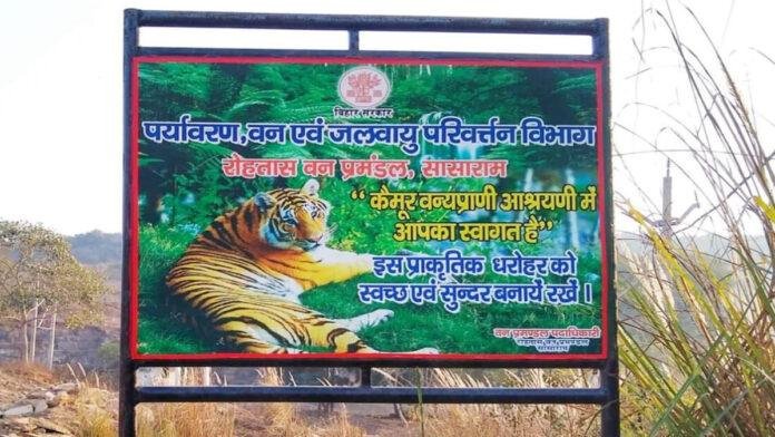 अब कैमूर की जंगलों में गूजेंगी दहाड़! टाइगर रिजर्व बनाने की मंत्री ने दी मंजूरी