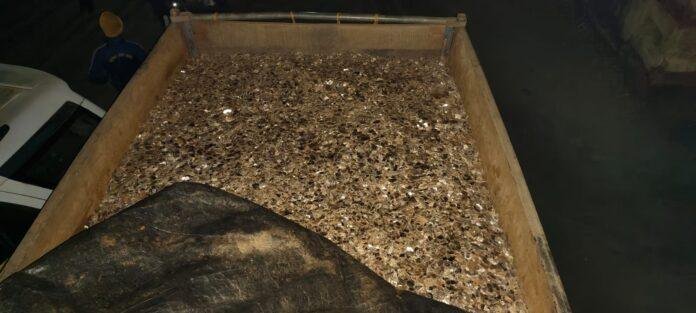 Mica Smuggling: अवैध माइका ढुलाई पर प्रशासन की बड़ी कार्रवाई, दो मिनी ट्रक जब्त